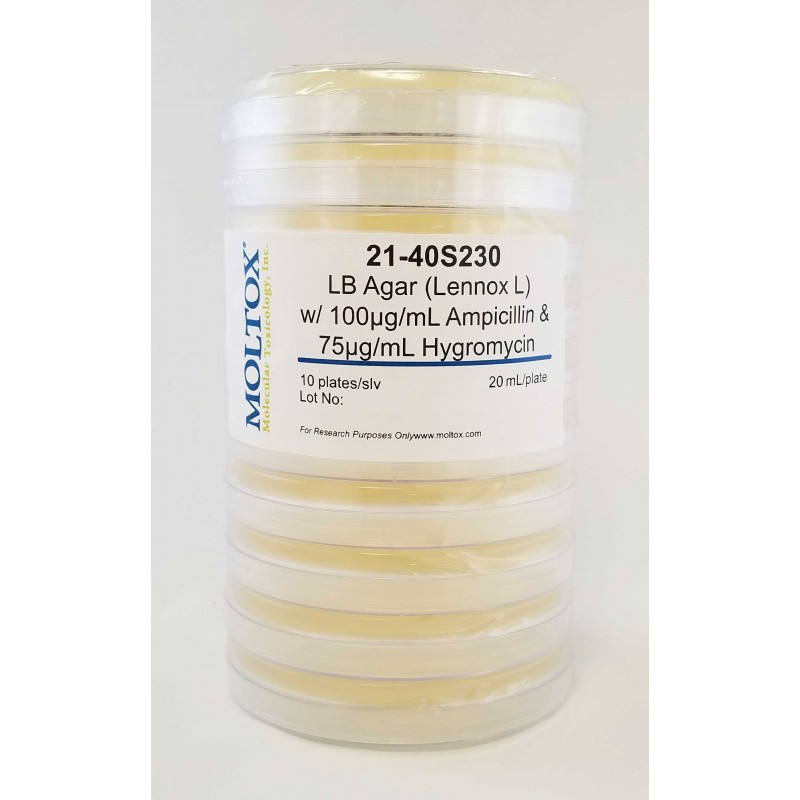 21-40S230, LB Agar (Lennox) Amp & Hygro, Plated Agar, 20 ml/plate, Culture Media, Moltox