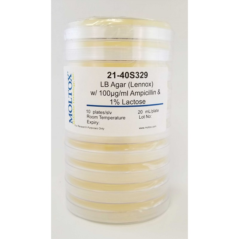 21-40S329, LB Agar w/ Amp & Lactose, Plated Agar, 20 ml/plate, Culture Media, Moltox