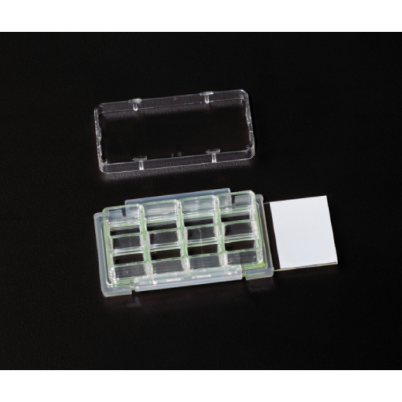 CellTreat 229168 Cell Culture Chamber Slide, 8 Chamber, Glass Slide, Sterile (12 Slides/Case) 