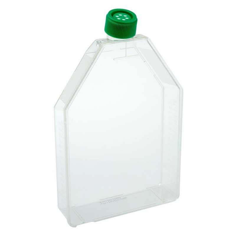 229361 CELLTREAT 300 cm² Tissue Culture Flasks, Vent Cap, Sterile, 18 Flasks