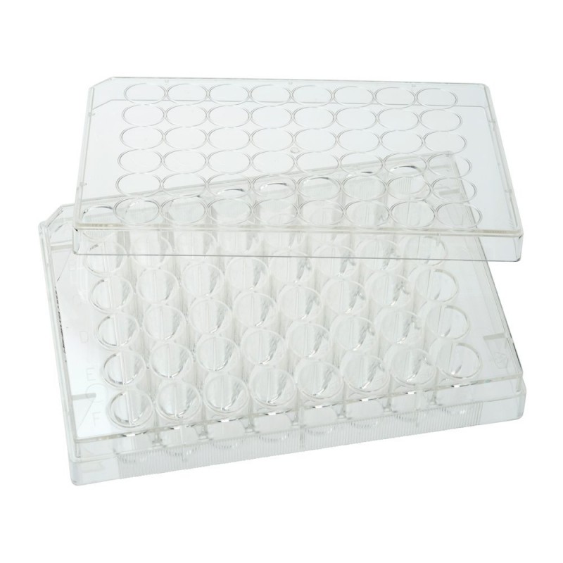 CELLTREAT 48-Well Clear None Plate SKU 229548