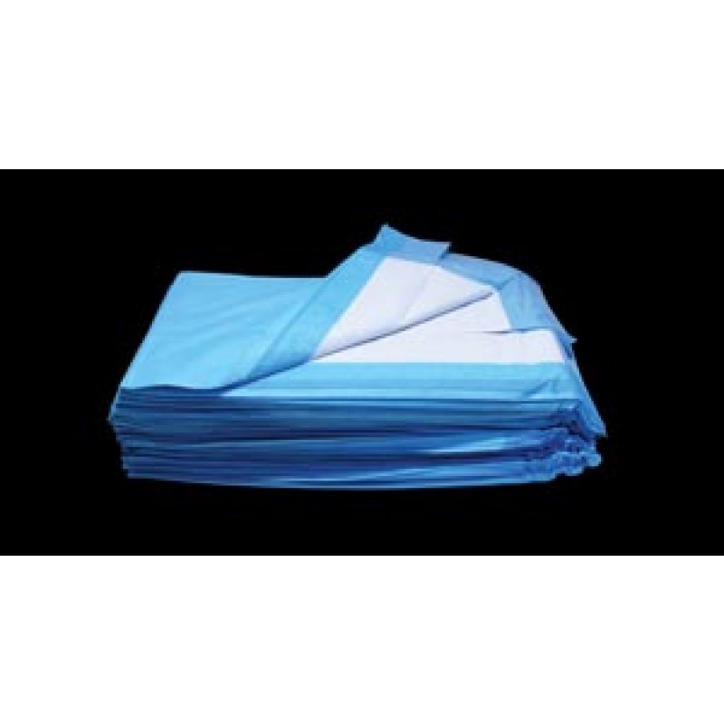 Dukal Corporation 81724 Under Pad, 17" x 24", Basic, Non-Sterile, 100/bg, 3 bg/cs