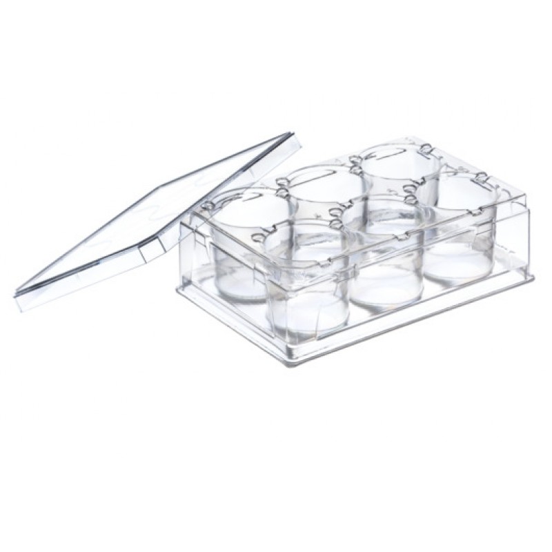 ThinCert Plate, 6W, Sterile, w/ Lid