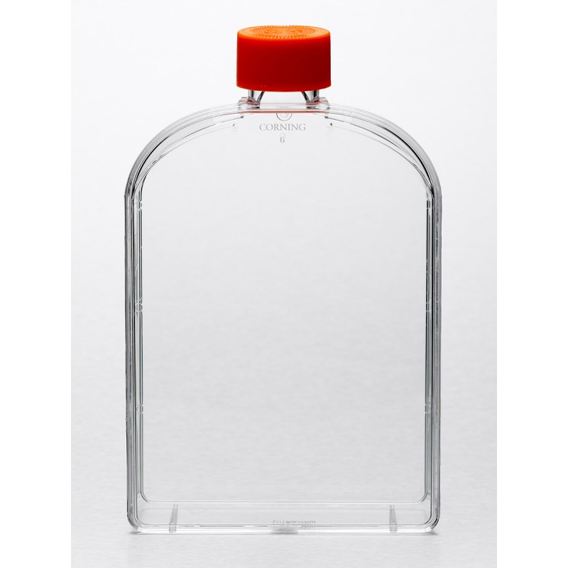 Corning 3292 Corning® CellBIND® 175cm² U-Shaped Angled Neck Cell Culture Flask with Vent Cap