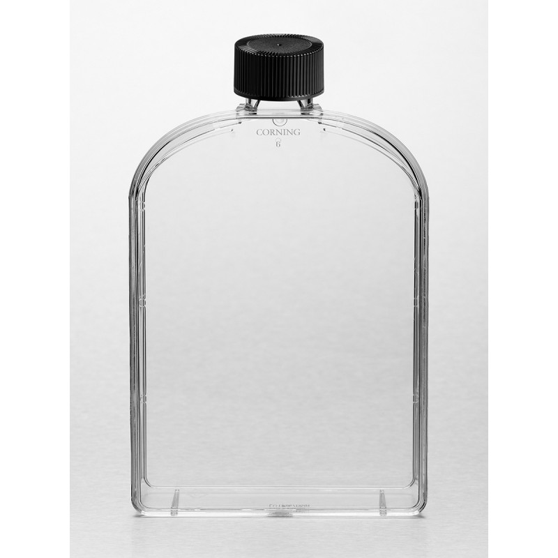 Corning 3292A Corning® CellBIND® 175cm² U-Shape Angled Neck Cell Culture Flask with Phenolic-Style Cap