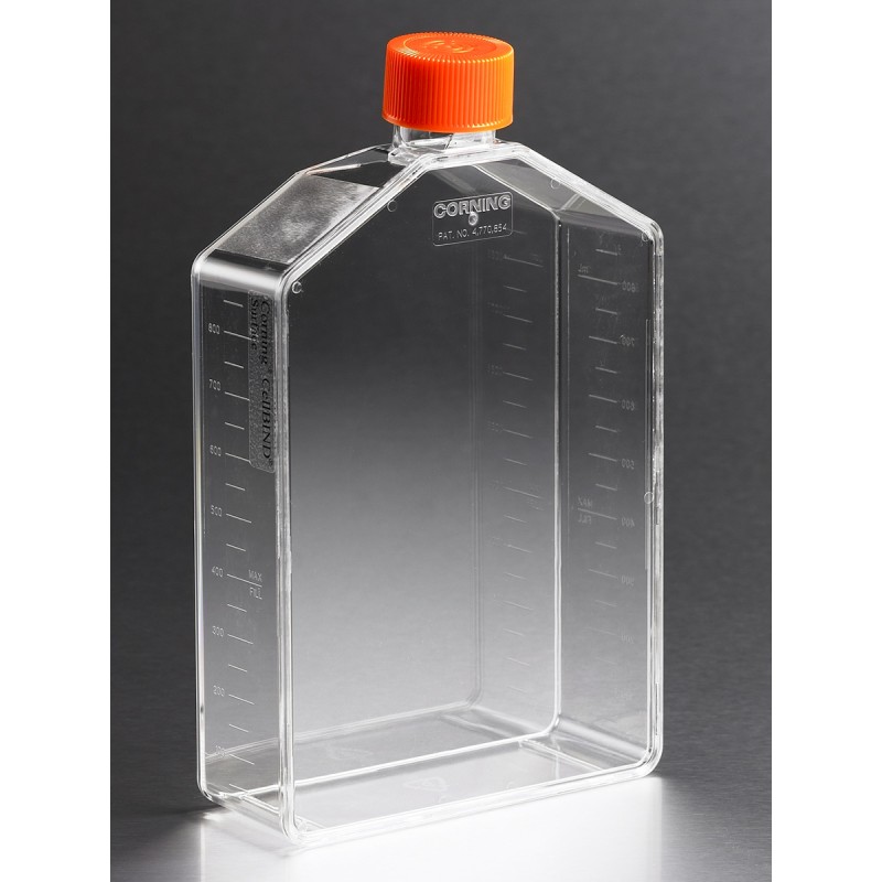 Corning 3293 Corning® CellBIND® 225cm² Angled Neck Cell Culture Flask with Vent Cap