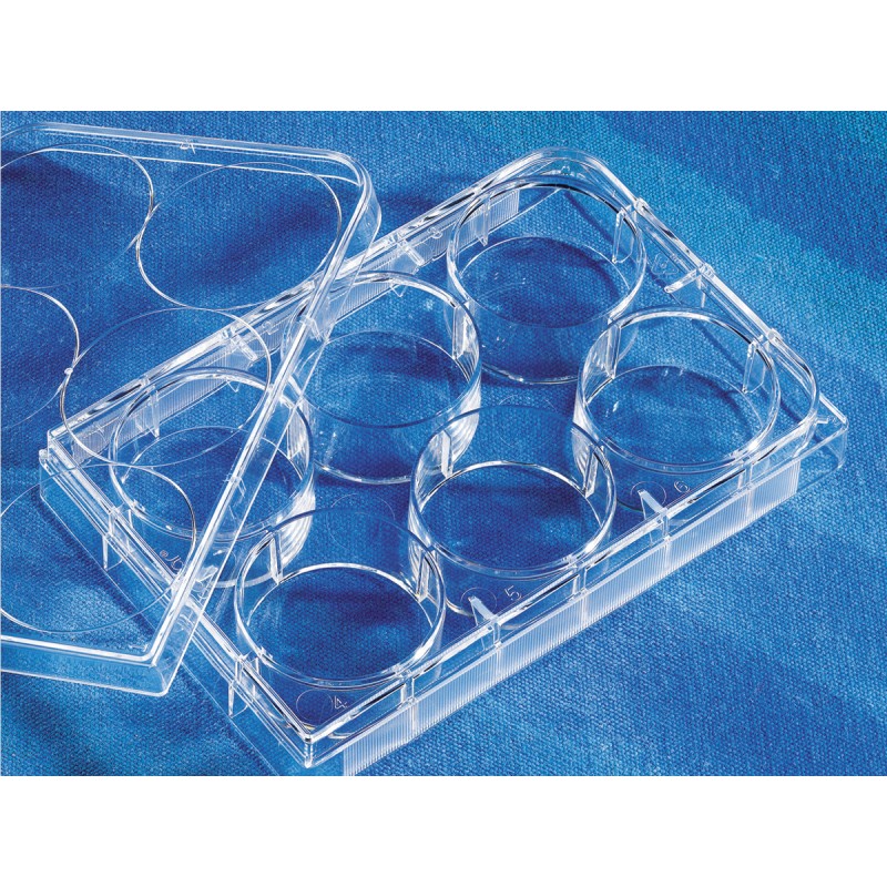 Corning 3335 Corning® CellBIND® 6-well Clear Multiple Well Plates, Flat Bottom, with Lid, Sterile