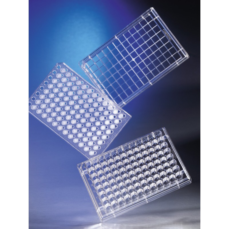 Corning 3381 HTS Transwell®-96 Permeable Support with 0.4 µm Pore Polycarbonate Membrane, 1 per Case, Sterile