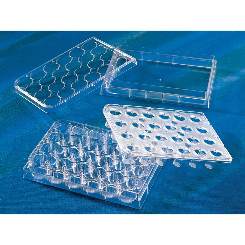 Corning 3396 HTS Transwell®-24-well Permeable Support with 0.4 µm Pore Polycarbonate Membrane and 6.5 mm Inserts, Sterile