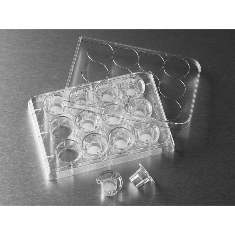 Corning 3401 12 mm Transwell® with 0.4 µm Pore Polycarbonate Membrane Insert, Sterile