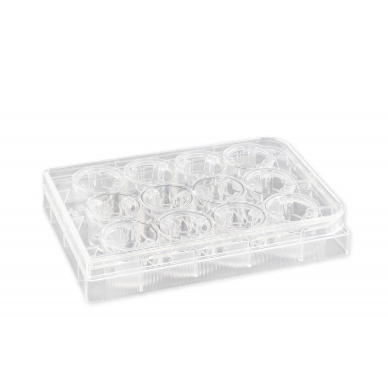 Corning 3402 12 mm Transwell® with 3.0 µm Pore Polycarbonate Membrane Insert, Sterile