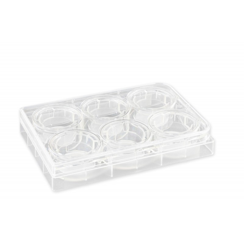 Corning 3412 24 mm Transwell® with 0.4 µm Pore Polycarbonate Membrane Insert, Sterile