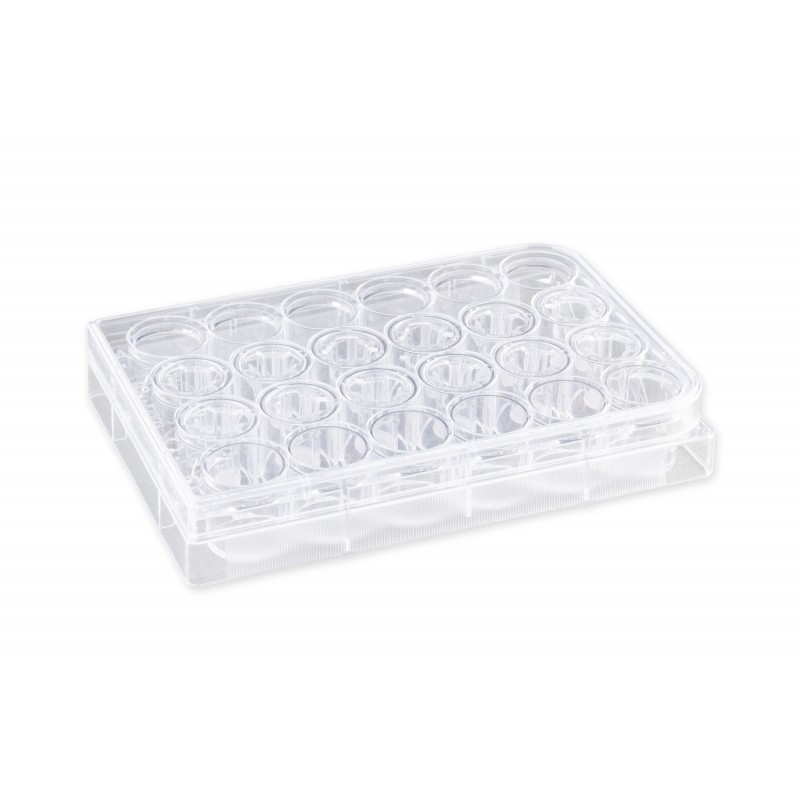 Corning 3415 6.5 mm Transwell® with 3.0 µm Pore Polycarbonate Membrane Insert, Sterile