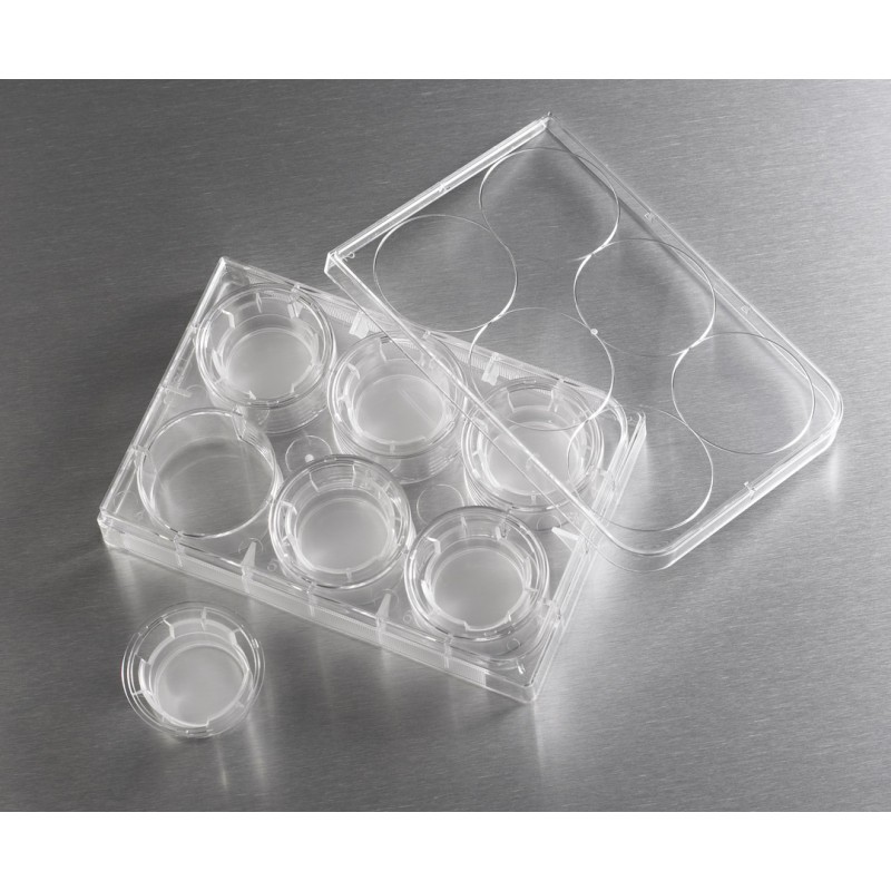 Corning 3452 24 mm Transwell® with 3 µm Pore Polyester Membrane Insert, Sterile