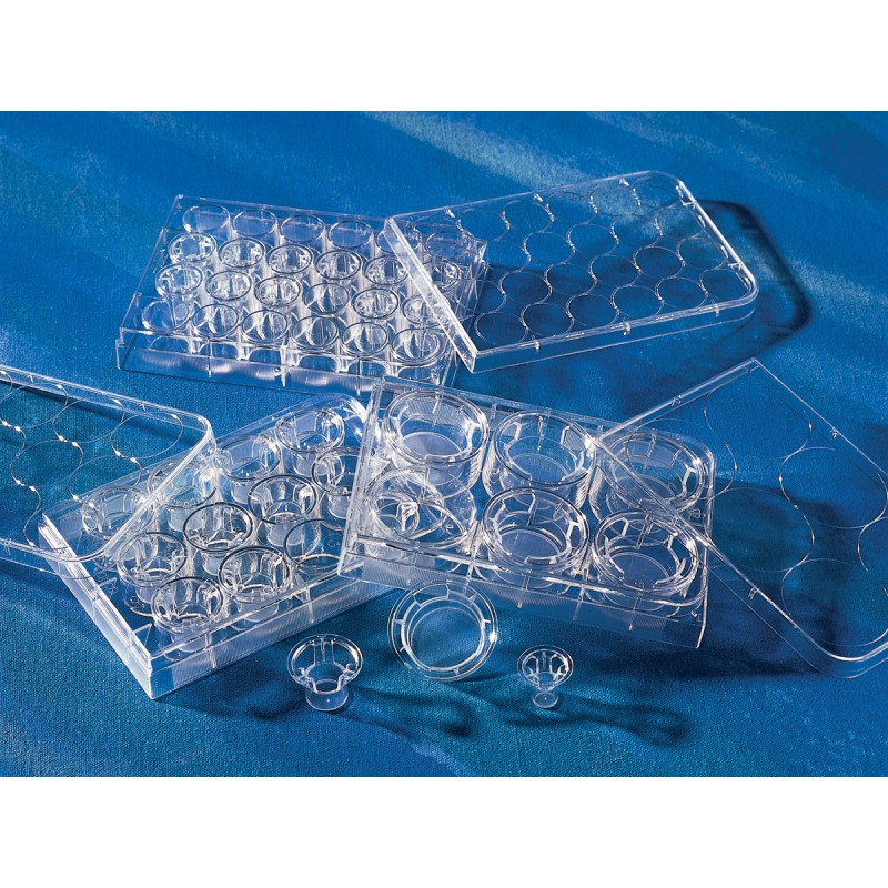 Corning 3472 6.5 mm Transwell® with 3.0 µm Pore Polyester Membrane Insert, Sterile