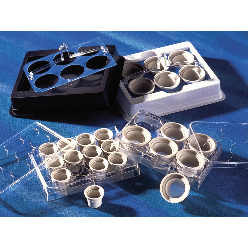 Corning 3479 24 mm Netwell™ Insert with 74 µm Mesh Size Polyester Membrane, Sterile