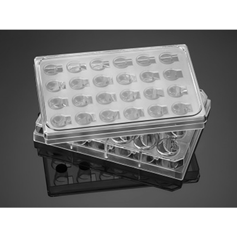 Corning 351183 Falcon® HTS 24-well Multiwell Permeable Support System with 3.0 µm High Density PET Membrane, Sterile, 5/Pack, 5/Case