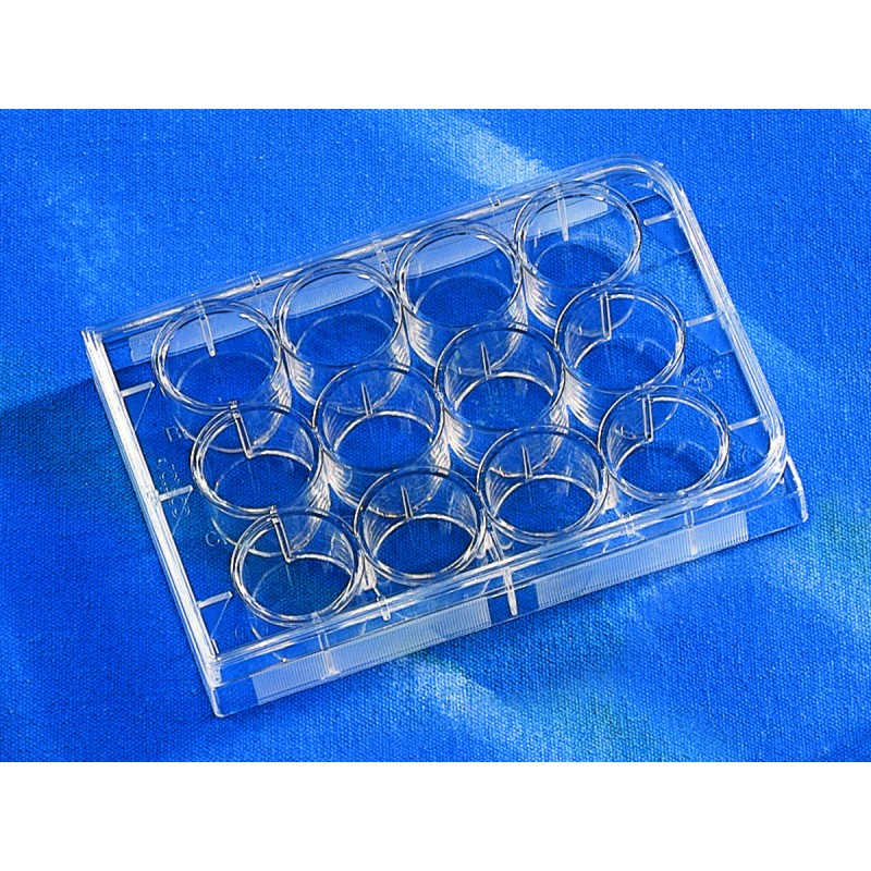 Corning 3512 Costar® 12-well Clear TC-treated Multiple Well Plates, Bulk Pack, Sterile