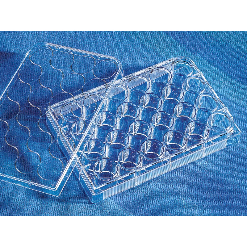 Corning 3524 Costar® 24-well Clear TC-treated Multiple Well Plates, Individually Wrapped, Sterile
