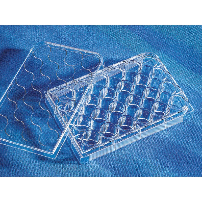 Corning 3526 Costar® 24-well Clear TC-treated Multiple Well Plates, Individually Wrapped, Sterile
