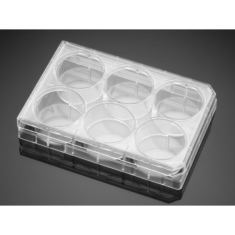 Corning 353846 Corning® Primaria™ 6-well Cell Clear Flat Bottom Surface-Modified Multiwell Culture Plate, with Lid, Sterile,50/Case