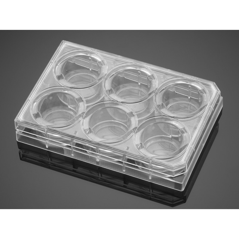 Corning 354402 Corning® BioCoat® Fibronectin 6-well Clear Flat Bottom TC-Treated Multiwell Plate, with Lid, 5/Case