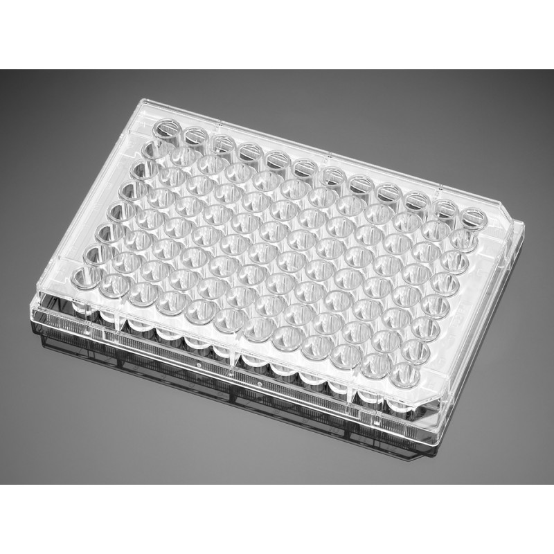 Corning 354461 Corning® BioCoat® Poly-D-Lysine 96-well Clear Flat Bottom TC-treated Microplate, with Lid, 5/Case