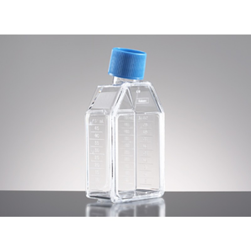 Corning 354484 Corning® BioCoat® Collagen I 25cm² Rectangular Canted Neck Cell Culture Flask with Vented Cap