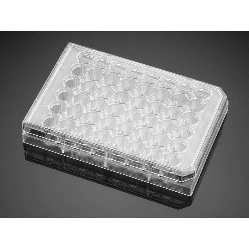 Corning 354509 Corning® BioCoat® Poly-D-Lysine 48-well Clear Flat Bottom TC-treated Multiwell Plate, with Lid, 5/Case