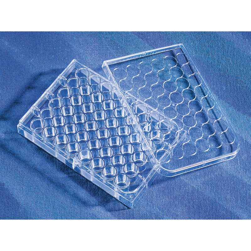 Corning 3548 Costar® 48-well Clear TC-treated Multiple Well Plates, Individually Wrapped, Sterile