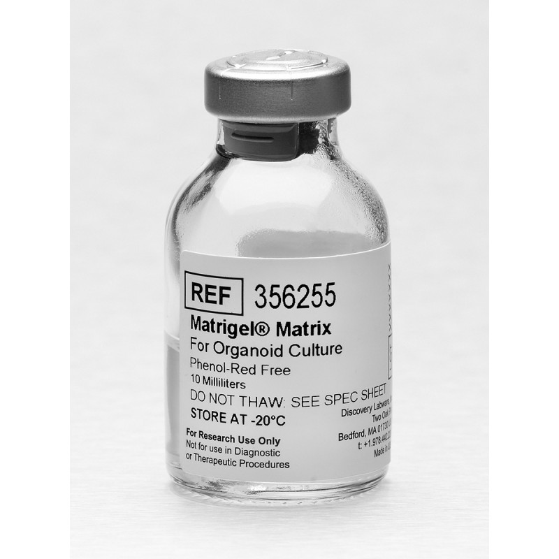Corning 356255 Corning® Matrigel® Matrix for Organoid Culture, Phenol Red-free, LDEV-free, 10 mL
