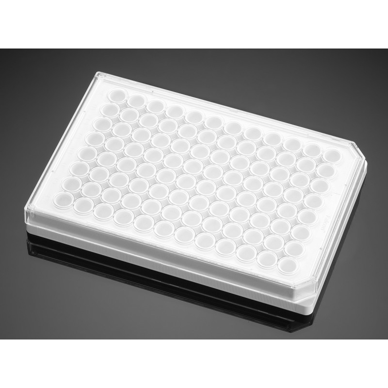 Corning 356620 Corning® BioCoat® Poly-D-Lysine 96-well White/Opaque Flat Bottom TC-treated Microplate, with Lid, 5/Pack, 50/Case