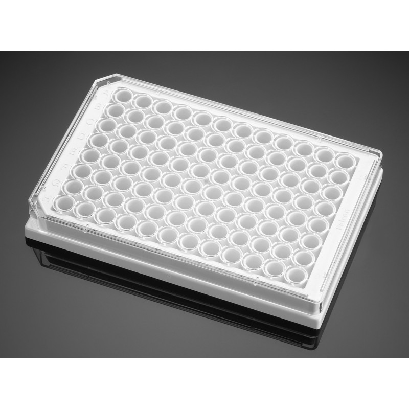 Corning 356651 Corning® BioCoat® Poly-D-Lysine 96-well White/Clear Flat Bottom TC-treated Microplate, with Lid, 5/Pack, 50/Case