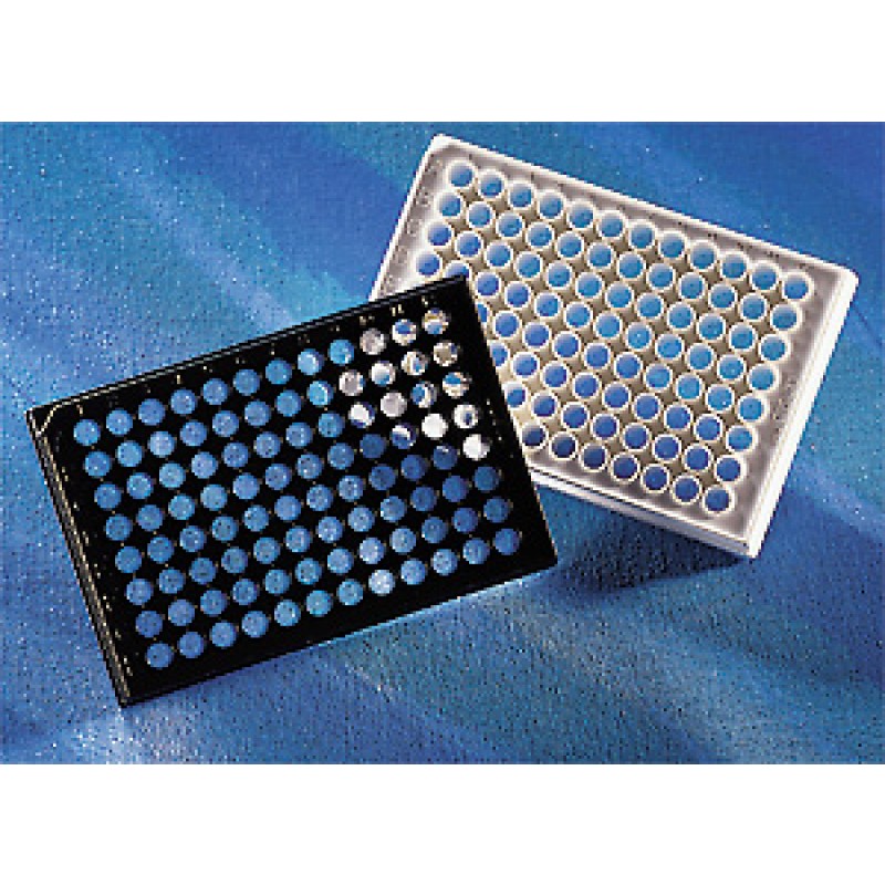 Corning 3601 Corning® 96-well Black/Clear Flat Bottom Polystyrene High Bind Microplate, 25 per Bag, without Lid, Nonsterile