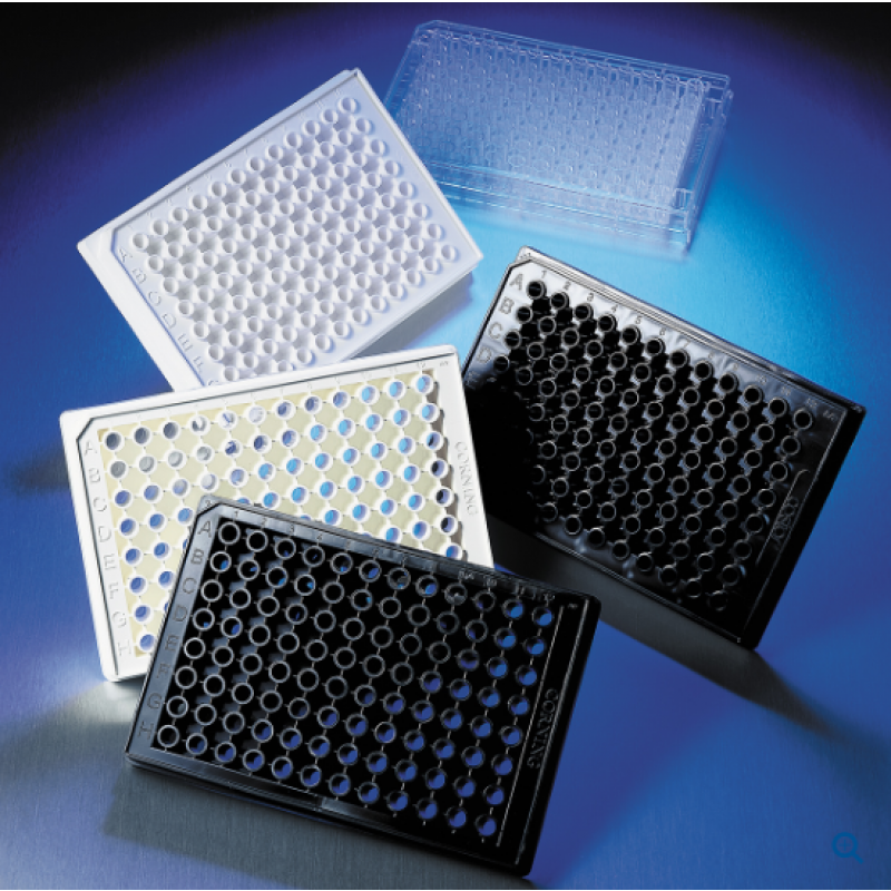 3695 Corning 96-well Half Area Clear Flat Bottom Polystyrene Not Treated Microplate, 100 per Case, without Lid, Nonsterile