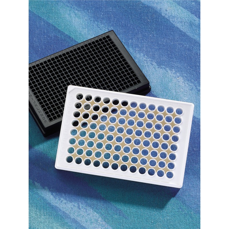 Corning 3842 Corning® 96-well Flat Clear Bottom Black Polystyrene Poly-D-Lysine Coated Microplates, 20 per Bag, with Lid, Aseptically Manufactured