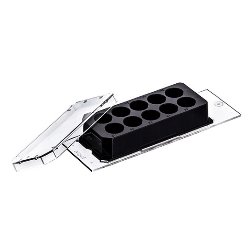 Cellview Slide, Glass Bot, 10 Compart., TC, ST