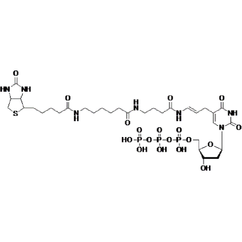 Biotium Biotin-16-dUTP lyophilized Structural Formula 