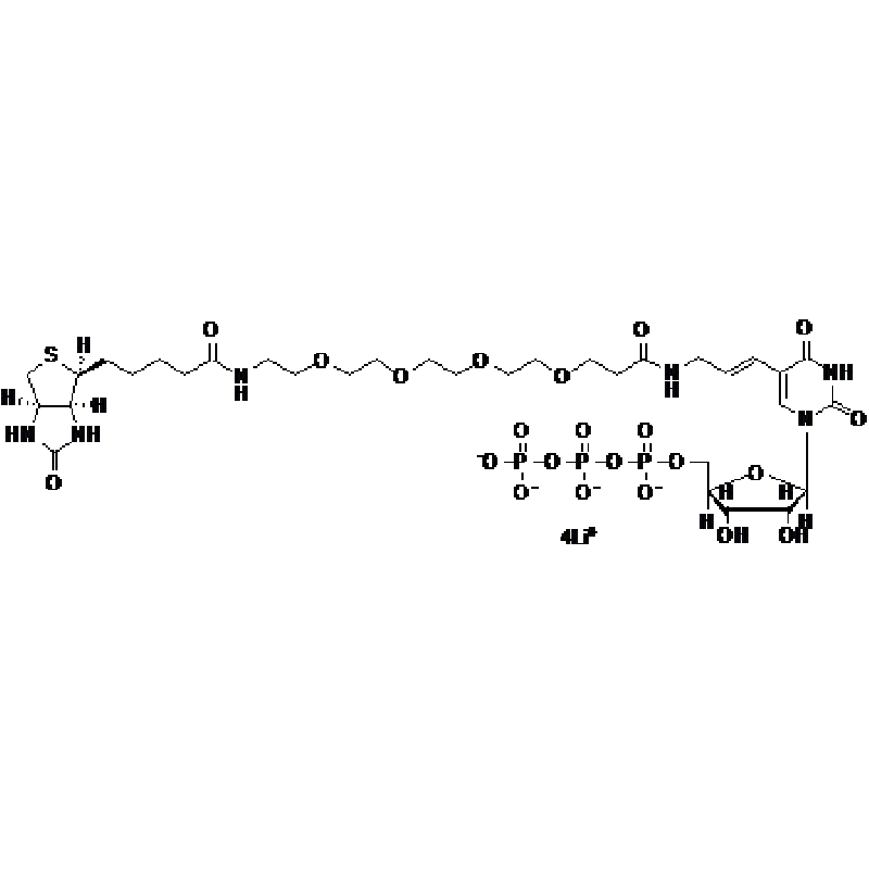 Biotium Biotin-20-dUTP  Structural Formula 