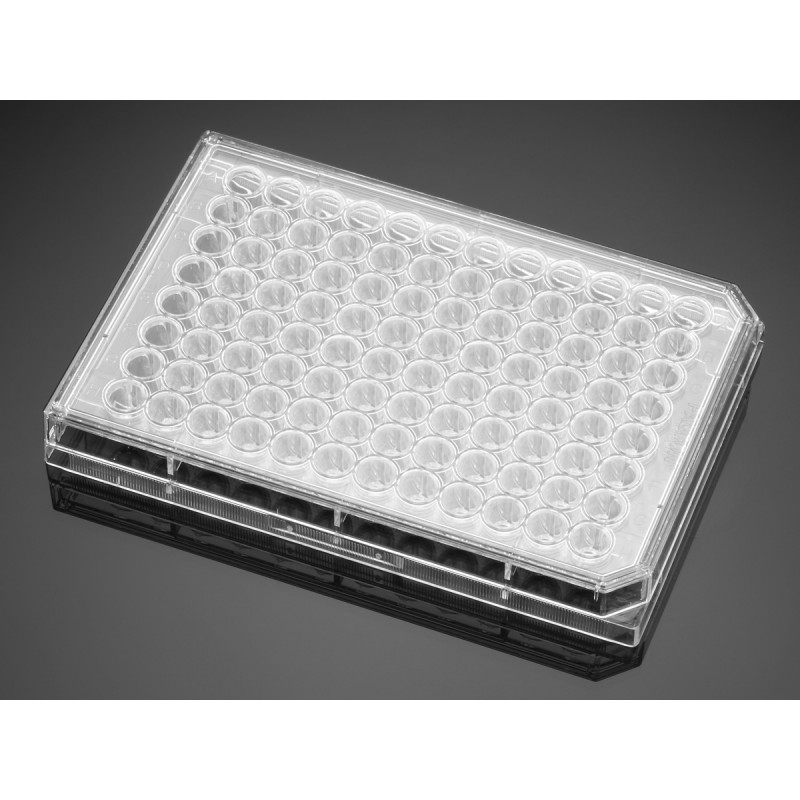 Falcon® 96-well Clear Round Bottom TC-treated Cell Culture Microplate, with Lid, Individually Wrapped, Sterile, 50/Case