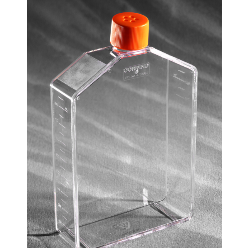 431082 Corning 225 cm² Angled Neck Cell Culture Flask with Vent Cap, 25 per Case
