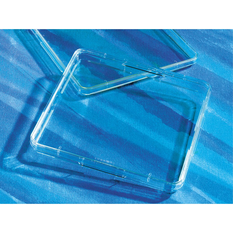 Corning 431110 Corning® 500cm² Square TC-treated Culture Dish