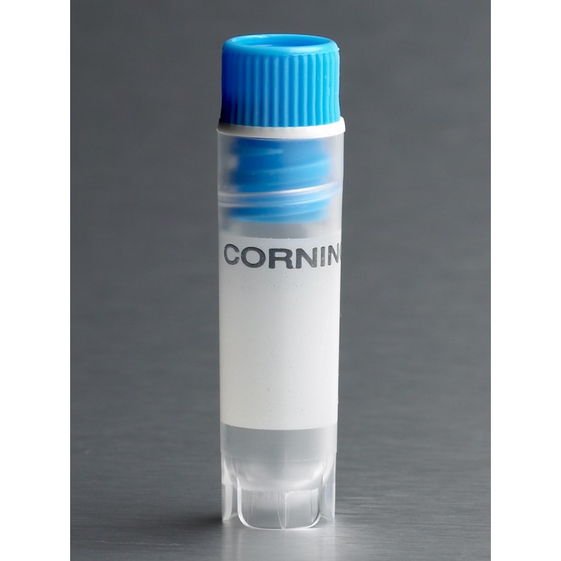 Corning 431418 Corning® 2 mL Blue Cap Internal Threaded Polypropylene Cryogenic Vial, Self-Standing with Round Bottom