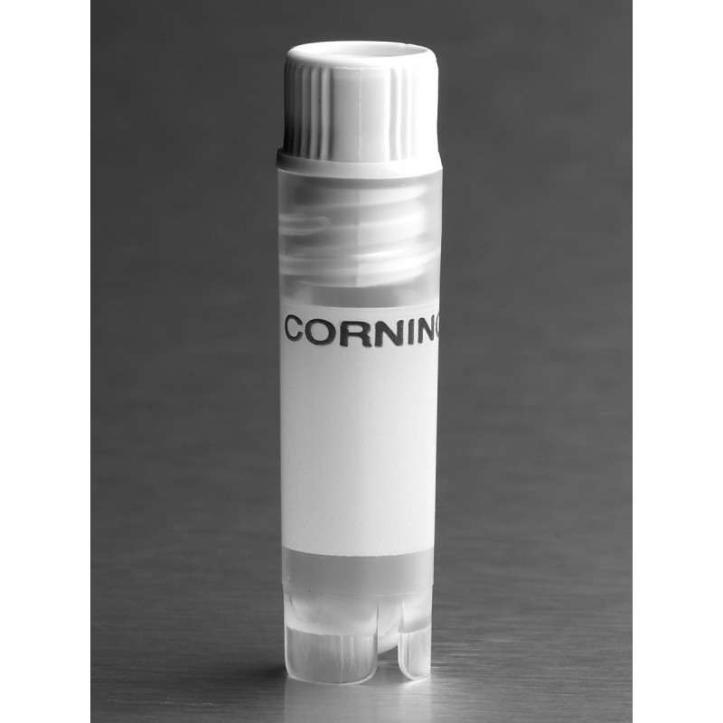 Corning 431421 Corning® 2 mL White Cap Internal Threaded Polypropylene Cryogenic Vial, Self-Standing with Round Bottom