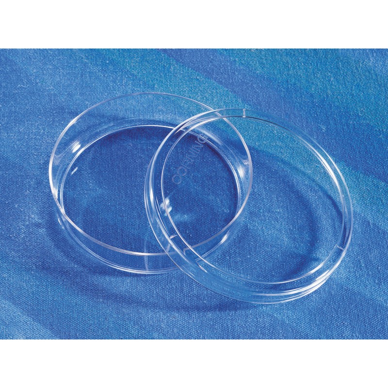 Corning® 100 mm Not TC-treated Culture Dish