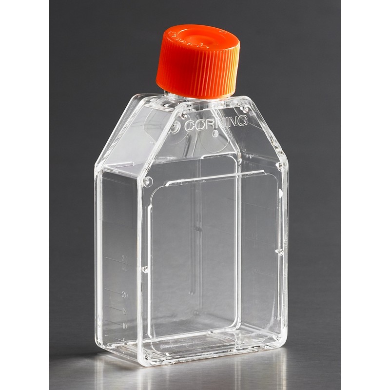 Corning® 25cm² Rectangular Canted Neck Cell Culture Flask with Plug Seal Cap