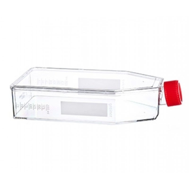 661175 Greiner Bio-One CELLSTAR T175 Tissue Culture Flask, Sterile, High Profile, Vent Cap, 40 Flasks