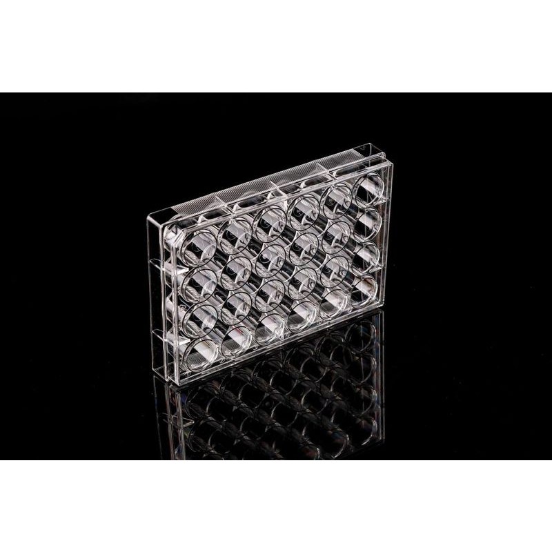 24 Well Cell Culture Plate, flat, TC, sterile, Bulk, 10/pk, 50/cs