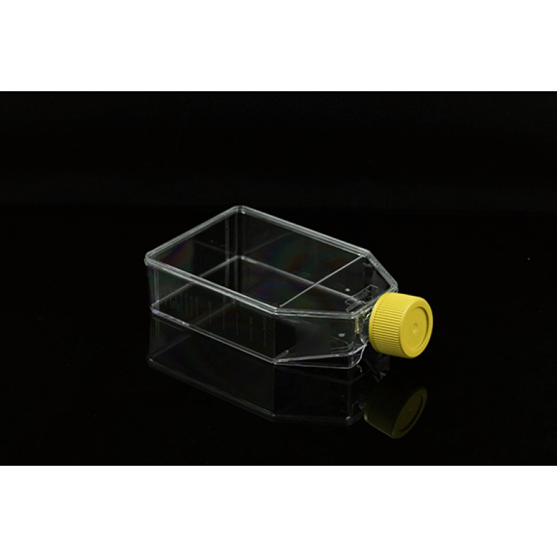 25cm2 Cell Culture Flask, Plug Seal Cap, Non-Treated, sterile, Maximum Working Volume 50mL, 10/pk, 200/cs
