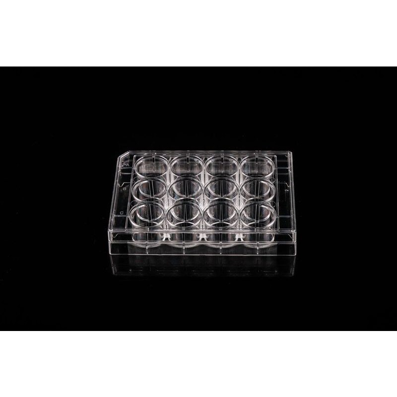 12 Well Cell Culture Plate, Flat, TC, sterile 1/pk, 50/cs